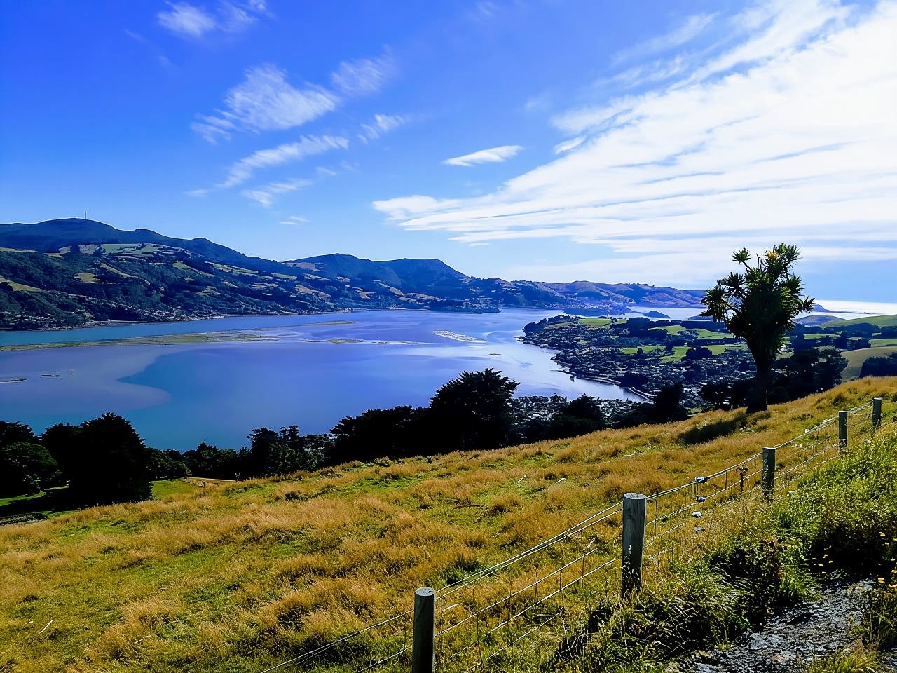 Dunedin: Penisola con i giardini del castello di Lanarch e Olveston