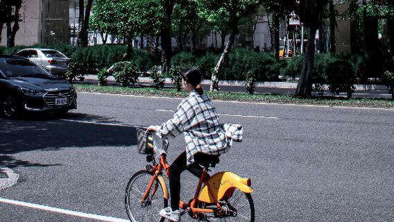 Fahrradtour durch Mexiko-Stadt: Entdecken Sie die Wunder der Hauptstadt