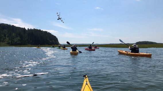 Excursión de un día desde Boston: Kayak guiado en Crane Estate