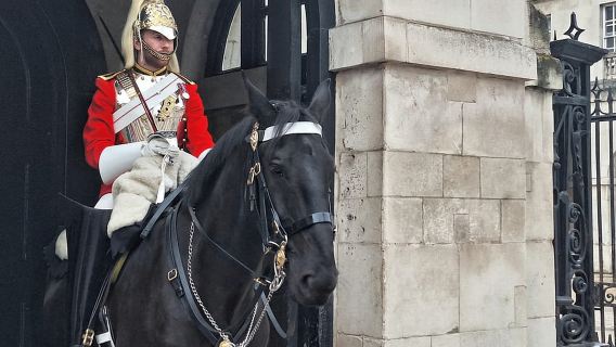 London Walking Tour: Buckingham Palace to Big Ben in 2 hours