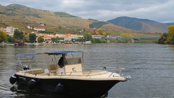 Pinhão: crociera al TRAMONTO di 1 ora con spumante