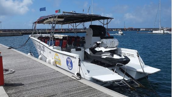 Avistamiento de ballenas