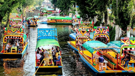 Mexico City and Xochimilco Guided Tour