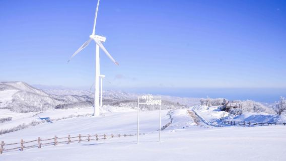 서울: 방탄소년단 K팝 스타 발자취 여행 ARMY 팬데이 투어