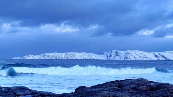 Murmansk private charter 1-day tour - Teriberka in-depth tour