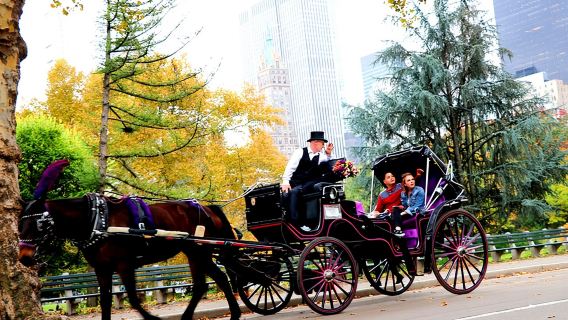 Central Park Horse Carriage Ride Short Loop (Up to 4 Adults))