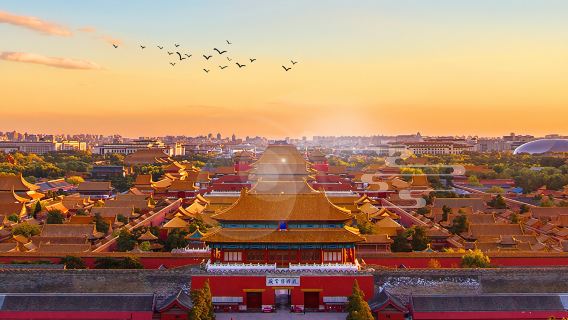 1-day tour of the Palace Museum in Beijing [Includes Palace Museum admission ticket + in- professional tour guide service guide by experienced guide]
