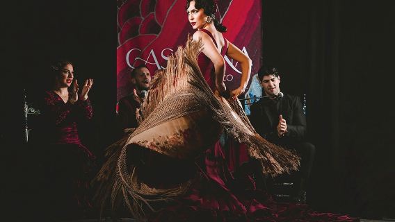 Casa Ana Granada: Traditional Flamenco Show