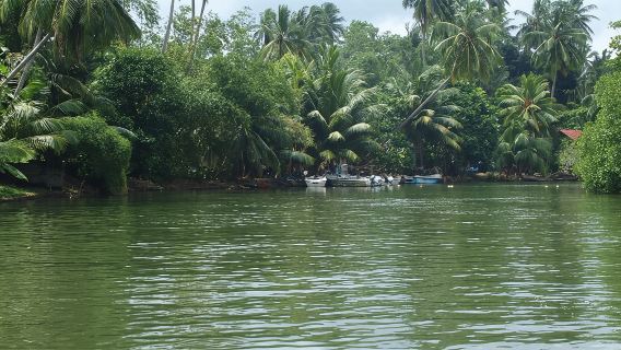 BalapitiyaTours