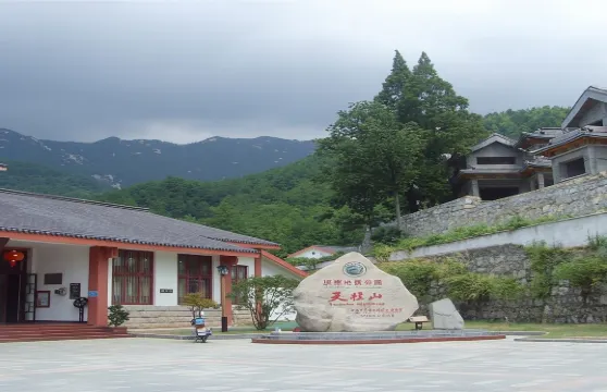 天柱山門票成人