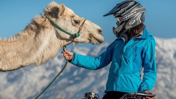 Tour đi xe lạc đà và xe bốn bánh từ Marrakech