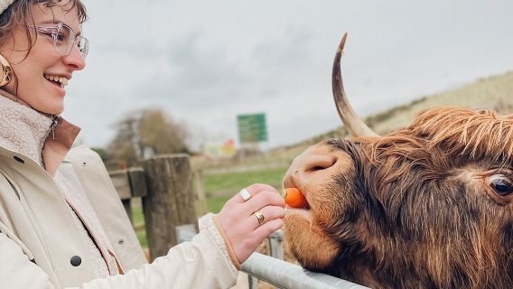 Глазго: однодневный тур по озеру Лох-Несс, Гленко и Хайленду