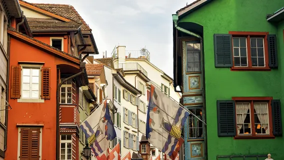 Lake Zurich + Zurich Zoo + Augustiner Lane + Zurich, Switzerland [Chinese/Mandarin Driver and Guide]