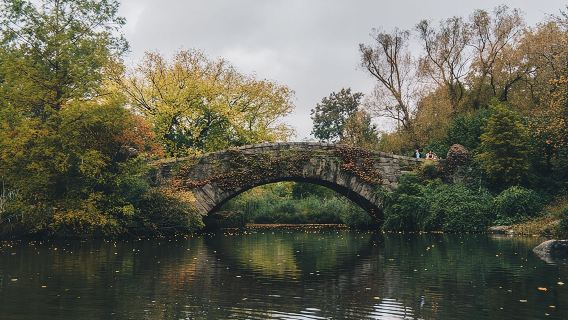 Self Guided "Central Park Movie Tour" Solo Walking Tour in New York City