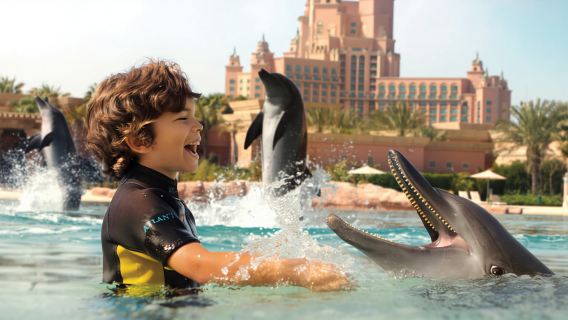 Dubai Dolphin Bay Atlantis Aquaventure
