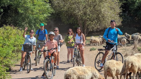 Private e-bike tour of Appian Way, Catacombs and Aqueducts