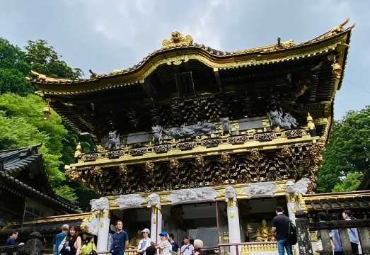 Tokyo, Japan: Toshogu Shrine, Iroha Mountain Trail, Lake Chuzenji, and Kegon Falls Day Tour