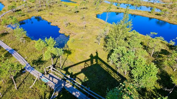 Entdeckung des Großen Moores von Ķemeri mit optionalem Sonnenaufgang und Besuch in Jūrmala