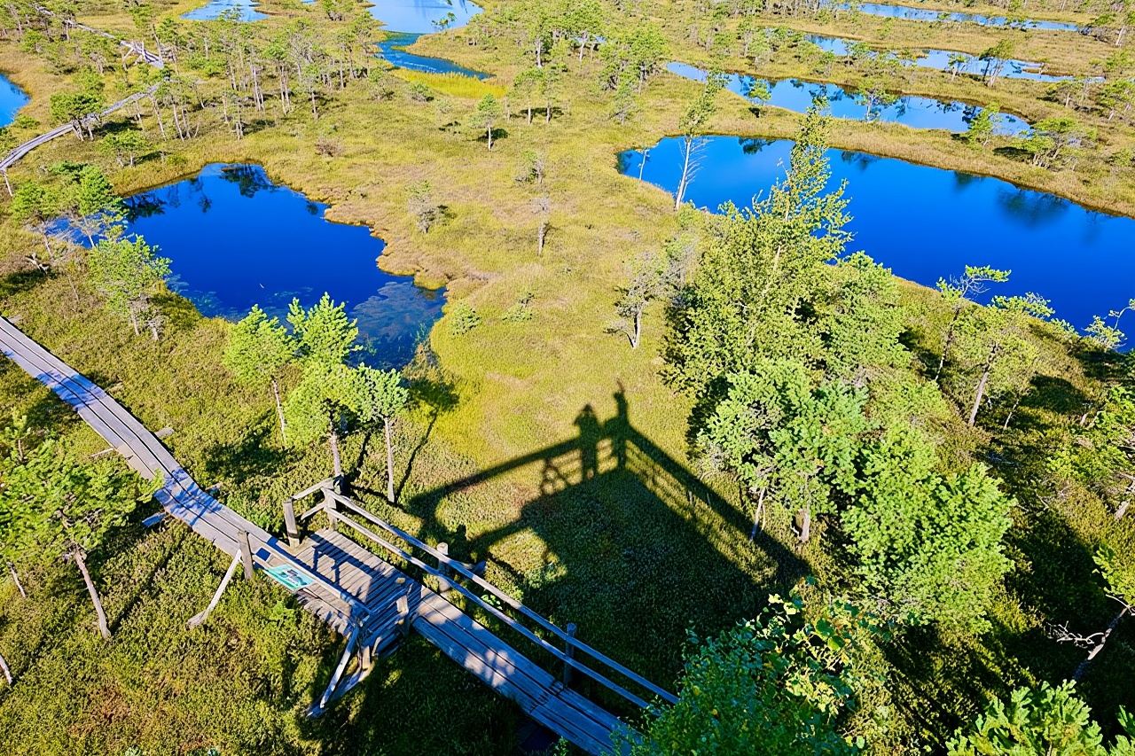 Ķemeri Grande scoperta della palude con alba facoltativa e visita a Jūrmala