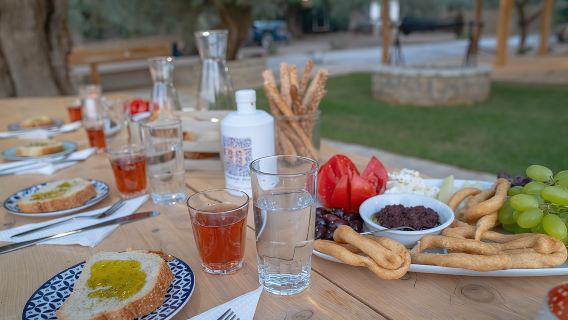 Olive Tour & Tasting