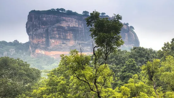 Sri Lanka|Negombo Fish Market + Elephant Orphanage + Sigiriya Rock Day Tour|Private car travel &