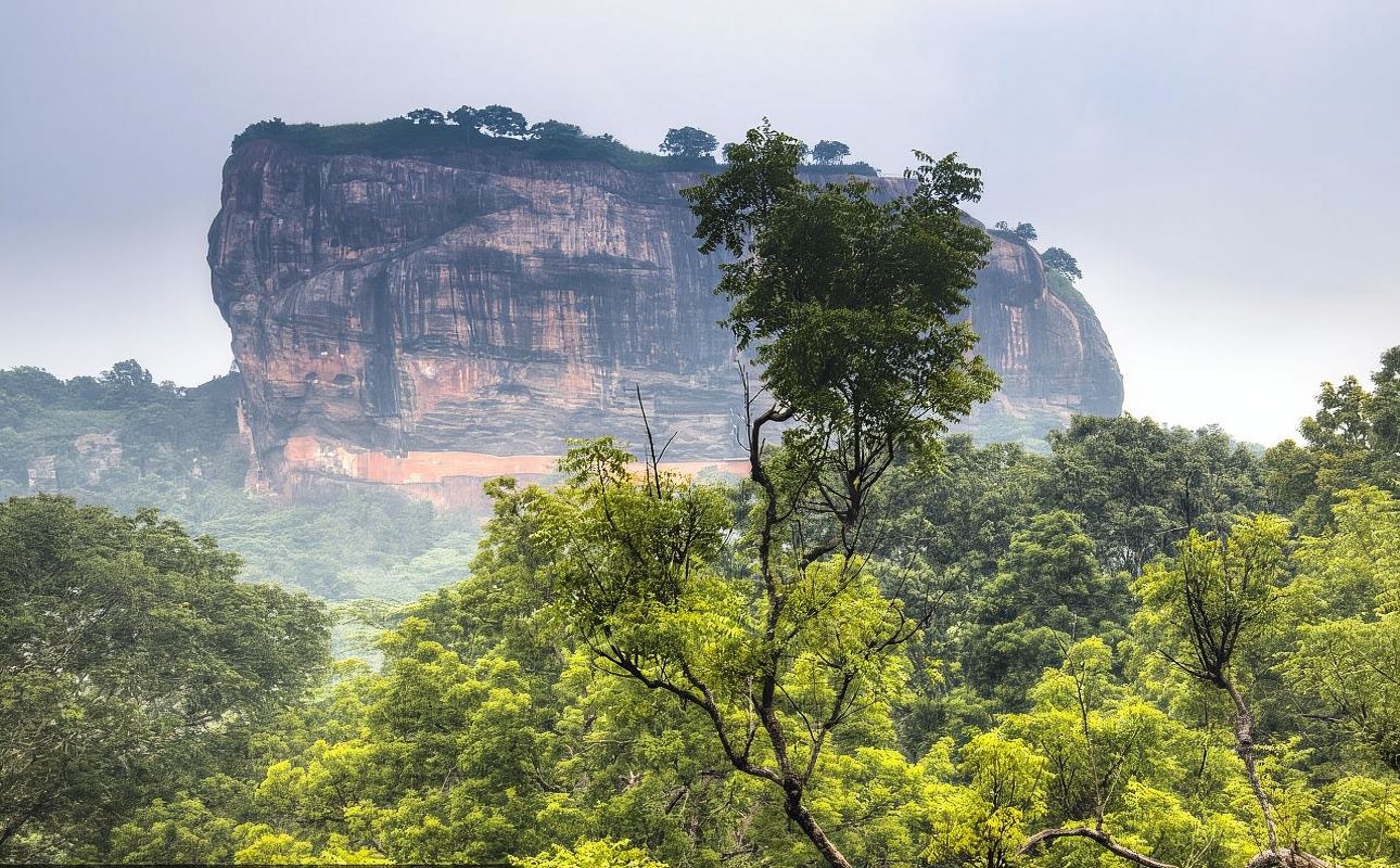 Sri Lanka|Excursión de un día al mercado de pescado de Negombo, al orfanato de elefantes de Pinnawala y a la Roca del León con servicio de coche privado con conductor
