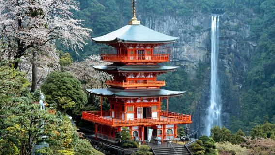 Nagoya, Japan: one-day tour of Kumano Kodo Trail, Nachi Taisha Shrine, Aogishitoji Temple and Nachi Falls