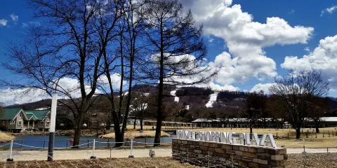 日本東京+輕井澤雲湯池+白絲瀑布一日遊/行程可調-中文包車