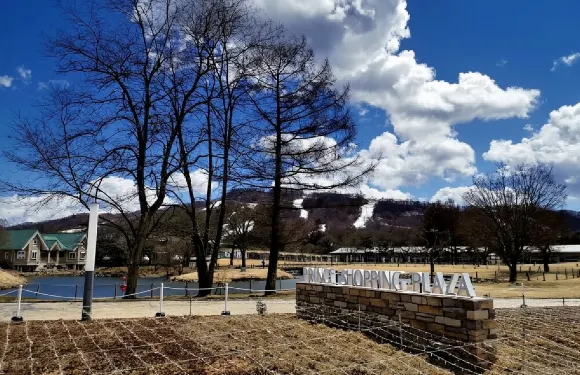 日本東京+輕井澤雲湯池+白絲瀑布一日遊/行程可調-中文包車