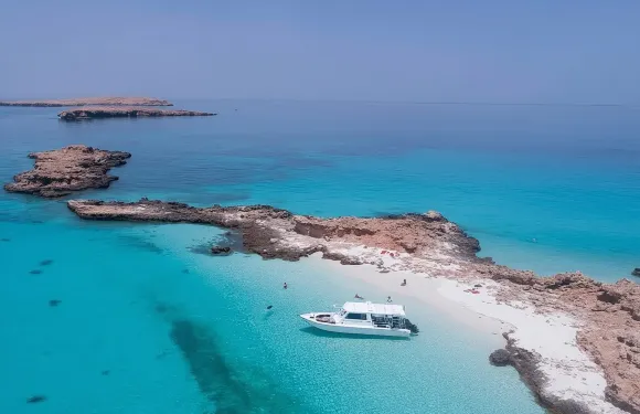 前往戴曼尼亞特島的遊輪和浮潛