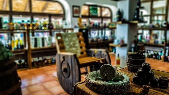 Cabo San Lucas Tequila Tasting Experience