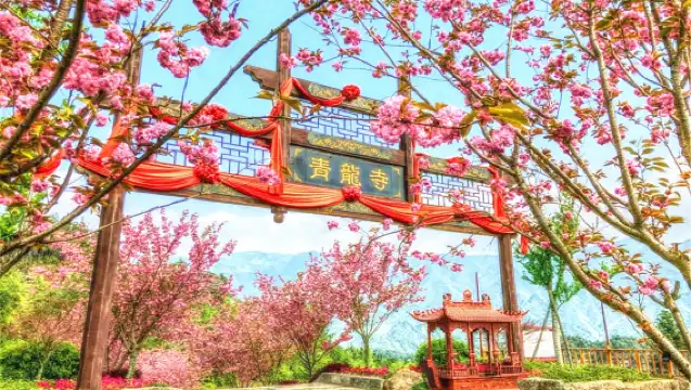 恩施梭布埡石林景區一日遊【純玩無購物|高性價比