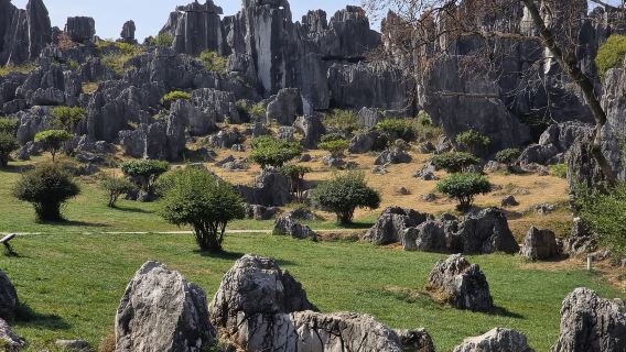 Kunming Stone Forest + Yiliang Roast Duck Lunch + Hui Village & Mosque Muslim Private Tour