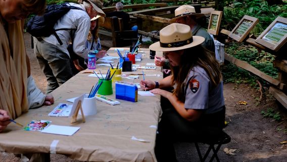 San Francisco: Muir Woods & Sausalito Tour w/Alcatraz Option