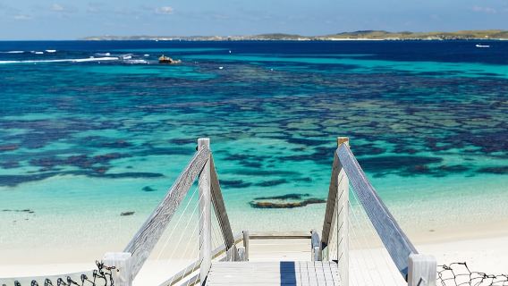 Da Fremantle: tour di un giorno in traghetto e autobus per l'isola di Rottnest