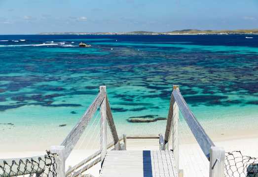From Fremantle: Rottnest Island Ferry & Bus Day Tour AUD 151.2