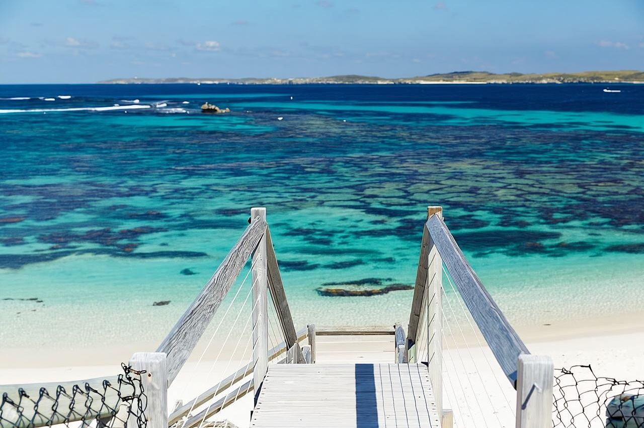 From Fremantle: Rottnest Island Ferry & Bus Day Tour