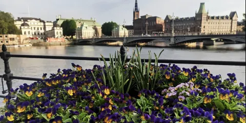 瑞典斯德哥爾摩 瑞典皇家歌劇院-市政廳【中文專車-悅享旅途】