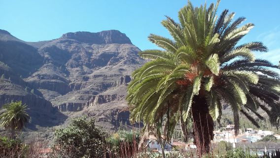 Las Palmas: 8-Hour Gran Canaria Island Highlights Tour