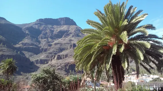 Las Palmas: Tour tham quan những điểm nổi bật của Đảo Gran Canaria trong 8 giờ