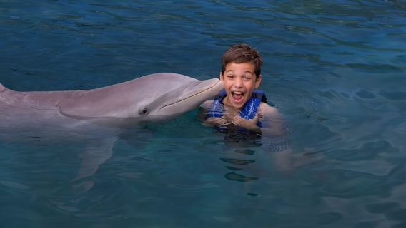 Riviera Maya: Nuota con i delfini Interax