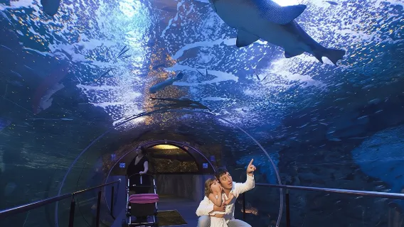 Vé vào Thủy cung San Sebastian và Tour đi bộ thành phố