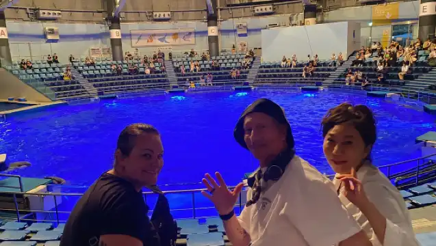 東京：夜間電動自行車之旅，包括東京鐵塔和海豚表演