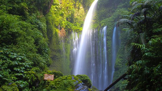 Pengembaraan Air Terjun Tiu Kelep & Sendang Gile - Pelarian Kaki Gunung Rinjani