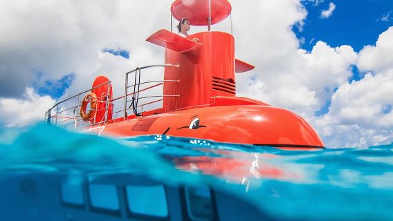 Semi Submarine Tour in Saint Anne Marine National Park
