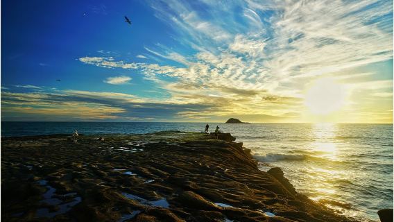 New Zealand Auckland Takarunga / Mount Victoria - Piha Beach customizable private charter for North and South Islands