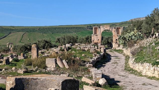 Tunis The Archaeological Site of Dougga Chinese/English Private Car Tour