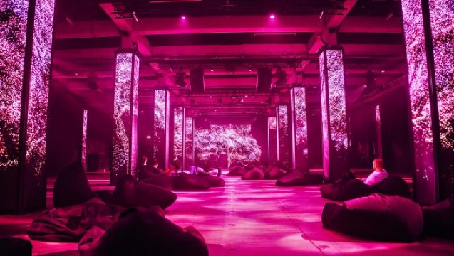 AMAZE Ámsterdam: La experiencia de la que todo el mundo habla