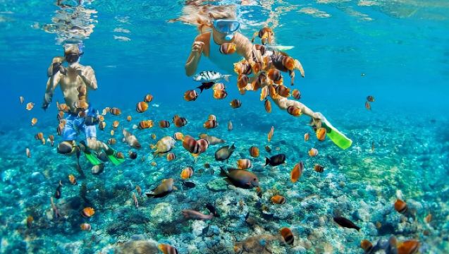Bali Blue Lagoon Snorkeling with Private Transfer & Lunch