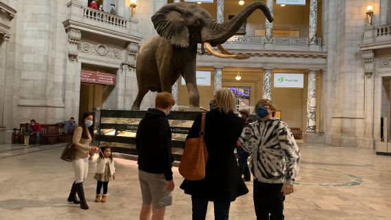 Smithsonian National Museum of Natural History Guided Tour